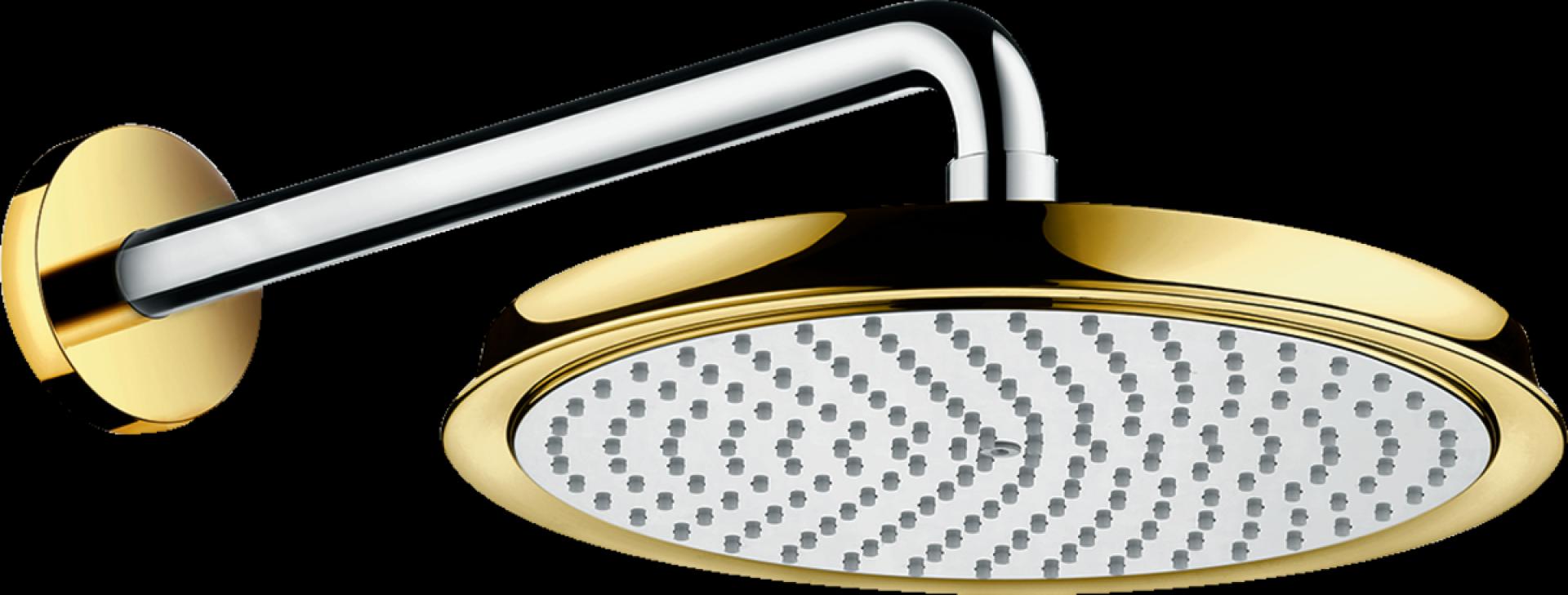 Тропический душ Hansgrohe Raindance Classic 27424090, хром золото